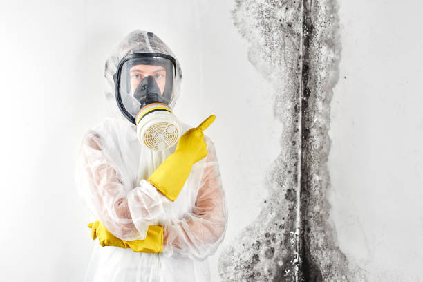 Best Commercial water damage restoration  in USA